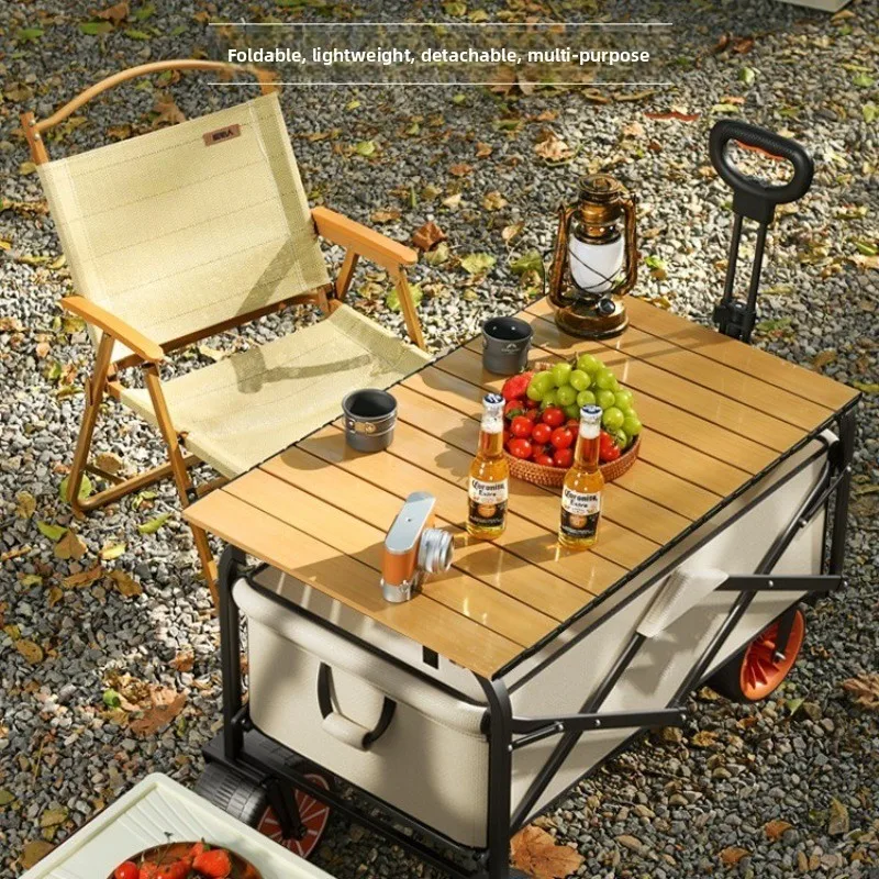 Carro Plegable Eléctrico para  - Outdoor Power Recliner reseña y precio